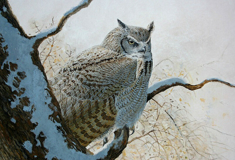 Great Horned Owl