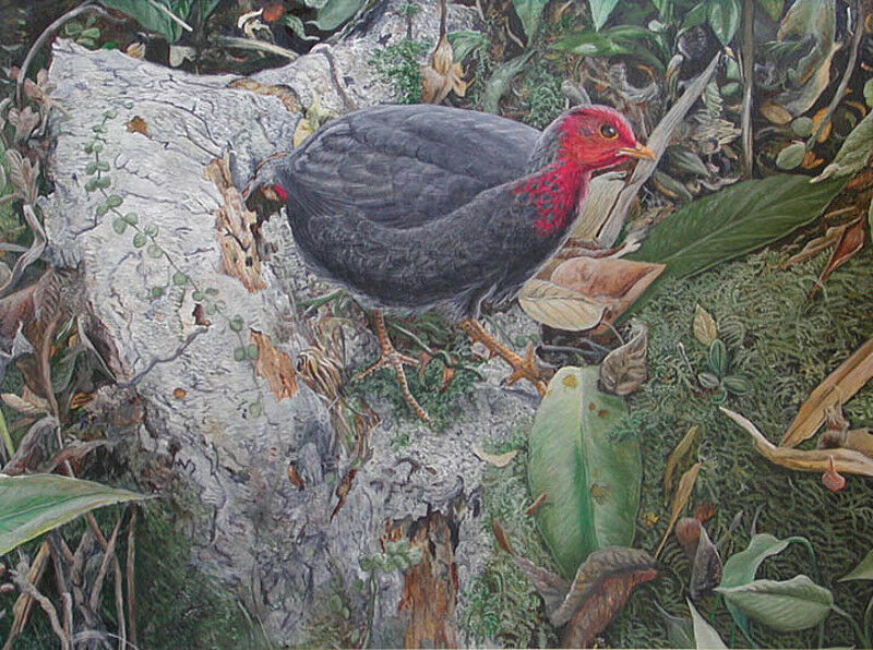 Rouloul sanglant