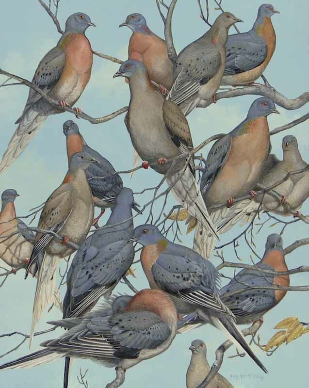 Passenger Pigeon