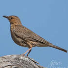 © Catherine et Bernard Lanneluc