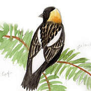 Bobolink