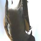 Zostérops des Mascareignes