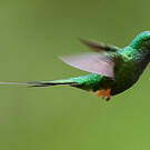 Haut-de-chausses du Pérou