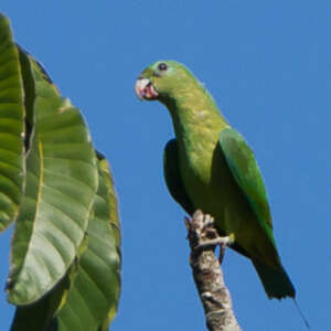 Palette de Palawan