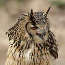 Grand-duc indien