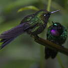 Héliange tourmaline