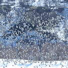 Bruant des neiges