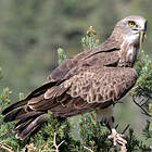 © Michel et Fabienne Vernaudon