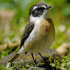 © Nathalie Santa Maria