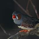 Diamant mandarin