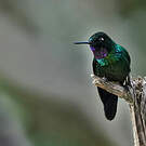 Héliange tourmaline